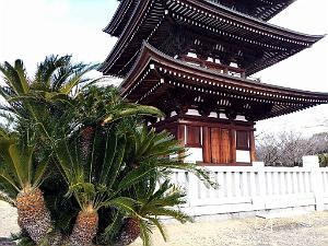 NAGOYA - Quartier Kakuozan - 25.01.2024 -30